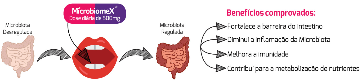 imagem ilustrando um intestino antes e depois da dose diária de 500mg de microbiomex e todos os benefícios comprovados