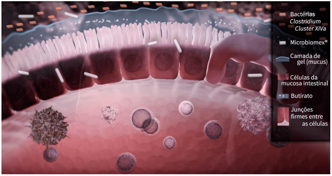 imagem ilustrando o funcionamento do microbiomex