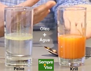 Ação dos fosfolípidos do Óleo de Krill, melhor solubilidade